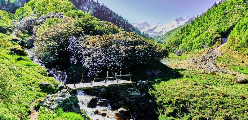 Bali Pass Trek- Dreamgohimalayas (4)