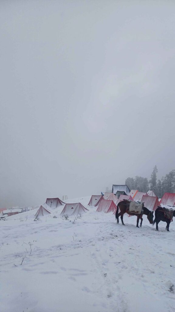 Kedarkantha Trek – Dream Go Himalayas