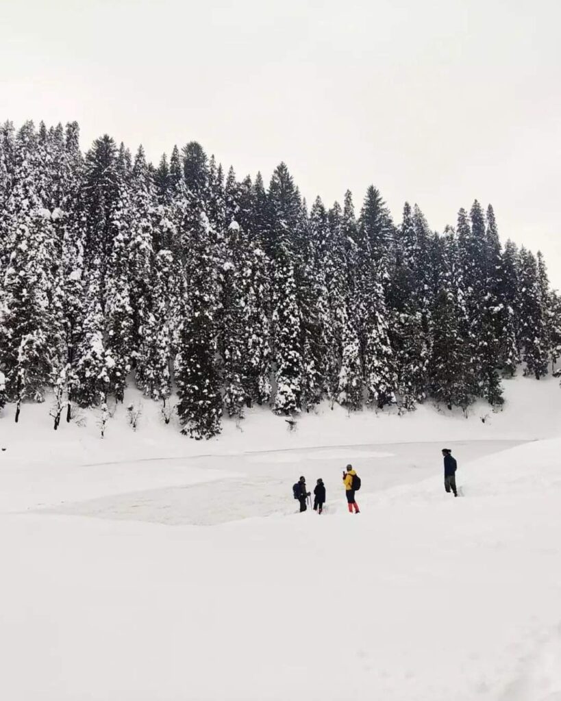 Kedarkantha Trek – Dream Go Himalayas