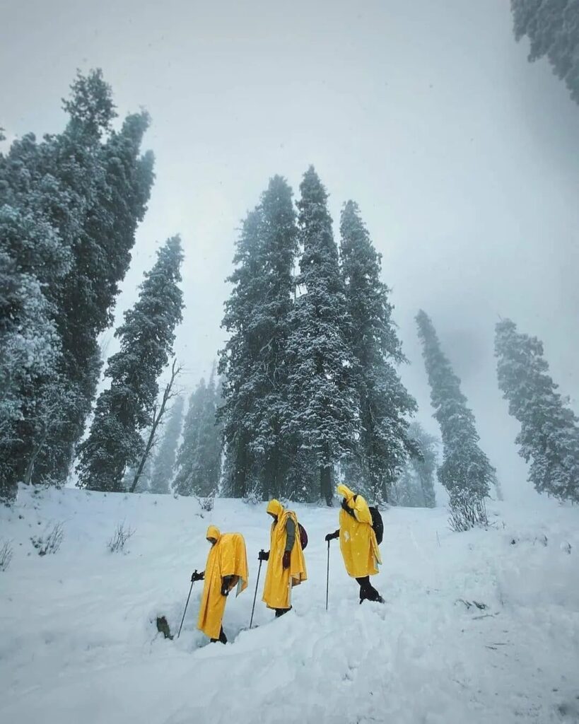 Kedarkantha Trek – Dream Go Himalayas